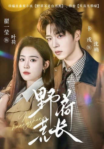 Poster for 野荷荒长