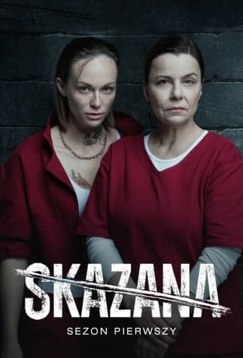 Poster for Season 1