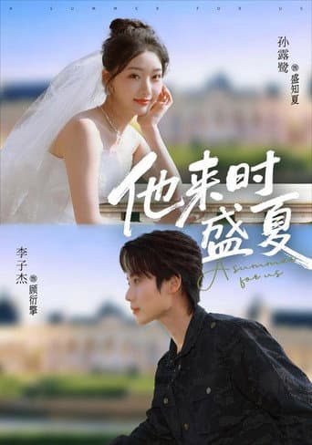 Poster for 他来时盛夏