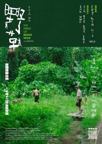 Poster for The Perks of Being Wild