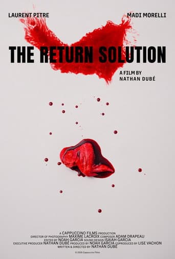 Poster for The Return Solution