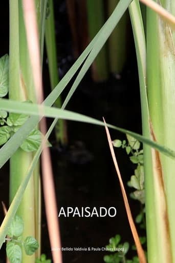 Poster for Apaisado