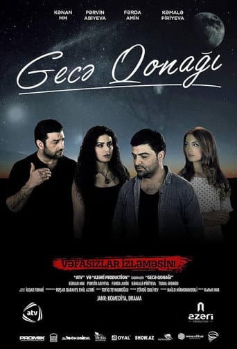 Poster for Night Guest