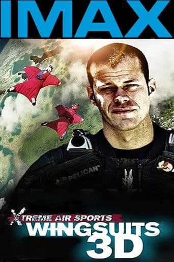 Poster for Wingsuit Warrior