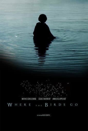 Poster for Where the birds go