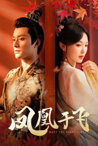Poster for 凤凰于飞