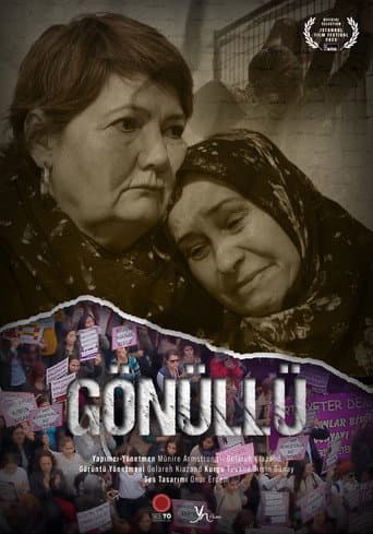 Poster for The Volunteer
