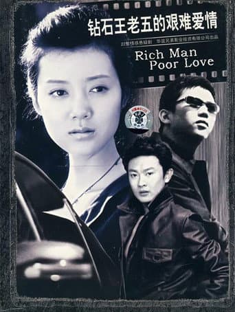 Poster for 钻石王老五的艰难爱情