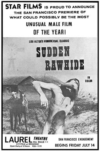 Poster for Sudden Rawhide