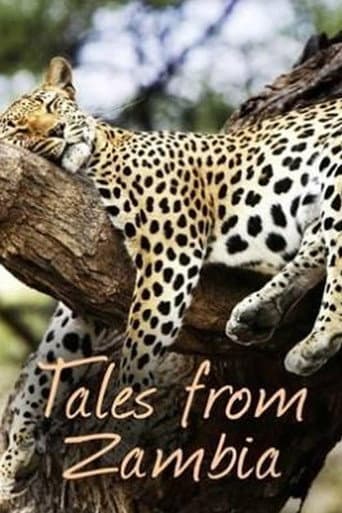 Poster for Tales from Zambia