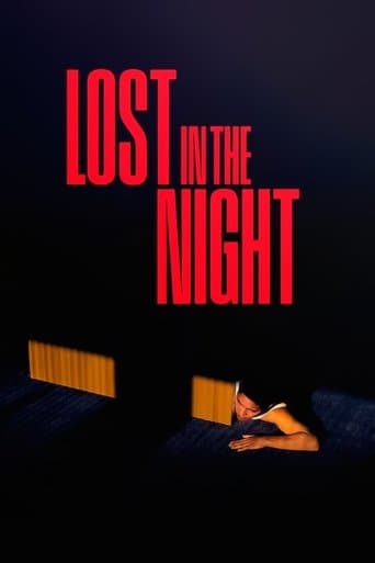 Poster for Lost in the Night