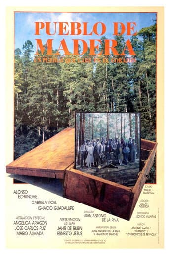 Poster for Wooden Town