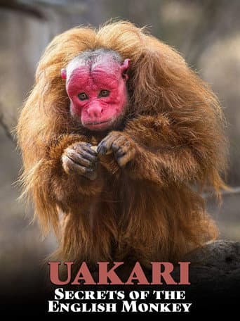 Poster for Uakari: Secrets of the English Monkey