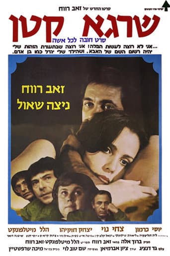 Poster for Little Man