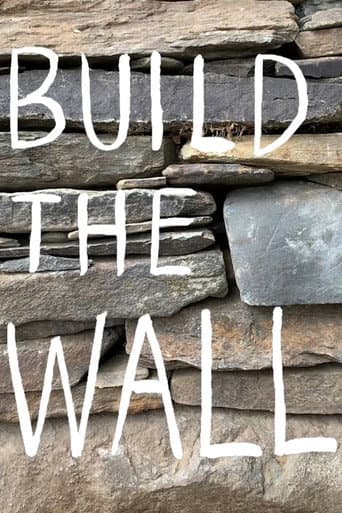 Poster for Build the Wall
