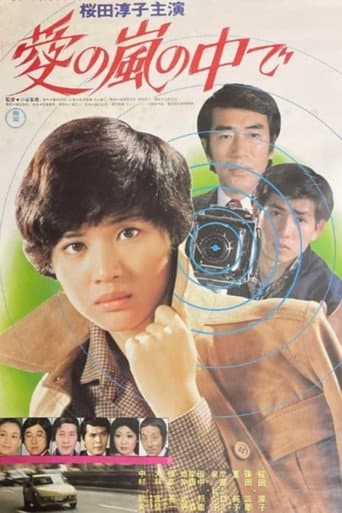 Poster for Inside the Storm of Love