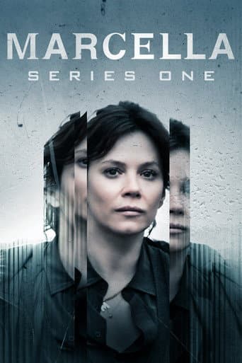 Poster for Series 1