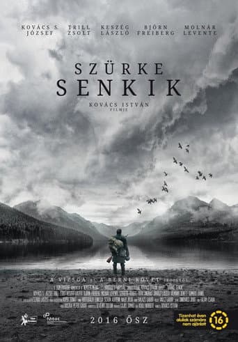 Poster for The Grey War