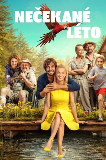 Poster for Nečekané léto