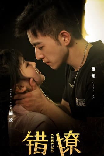 Poster for 错撩