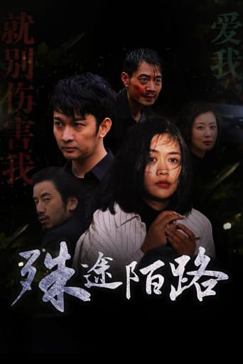 Poster for 殊途陌路
