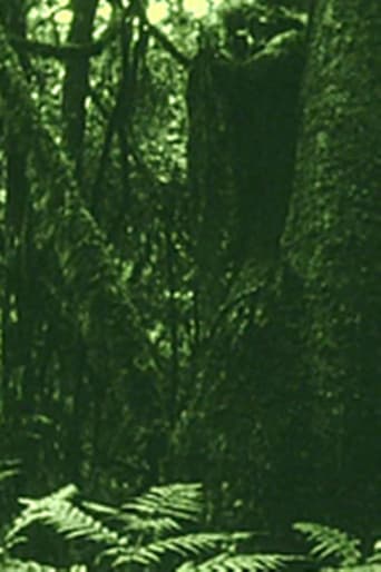 Poster for The Eyes in the Woods and the Taste in the Water
