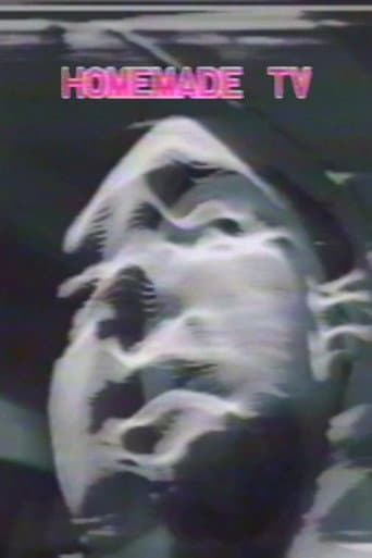 Poster for Homemade TV: Vasulkas II