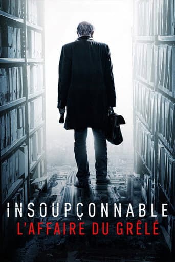 Poster for Insoupçonnable, l'affaire du Grêlé