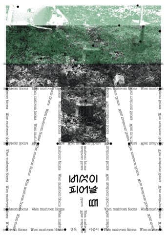 Poster for When Mushroom Blooms