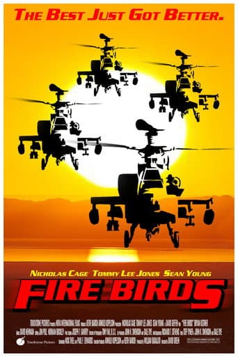 Poster for Fire Birds