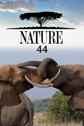 Poster for Season 44