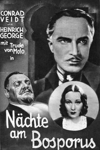 Poster for The Man Who Committed the Murder