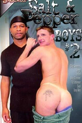 Poster for Salt & Pepper Boys 2