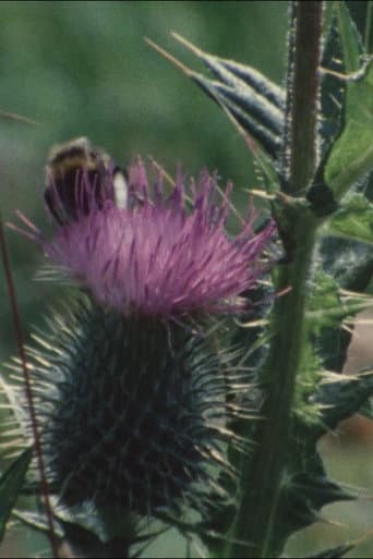 Poster for Thistledown
