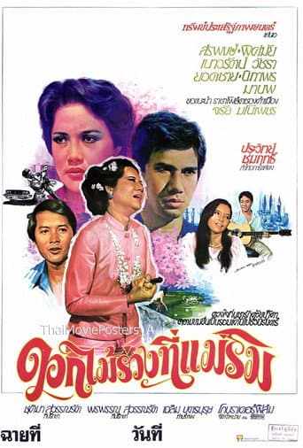 Poster for ดอกไม้ร่วงที่แม่ริม