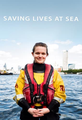 Poster for Series 1
