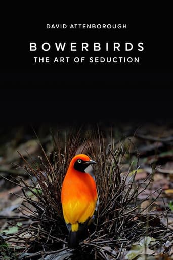 Poster for Bowerbirds: The Art of Seduction