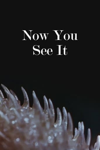 Poster for Now You See It