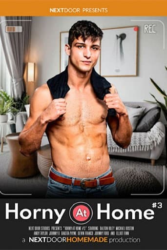 Poster for Horny at Home 3