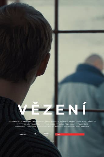 Poster for Vězení