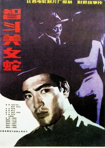 Poster for 智斗美女蛇