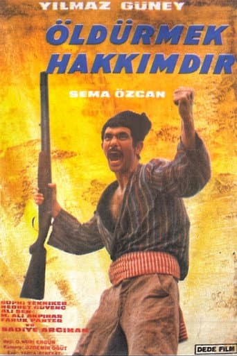 Poster for Öldürmek Hakkımdır