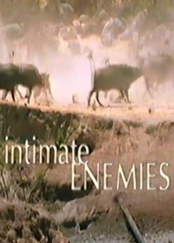 Poster for Intimate Enemies