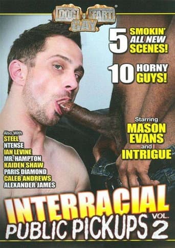 Poster for Interracial Public Pickups 2