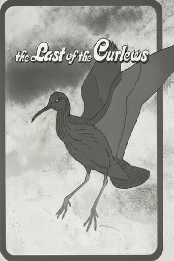 Poster for The Last of the Curlews