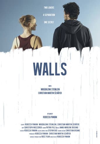 Poster for Walls