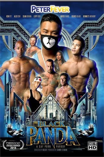 Poster for The Black Panda 1