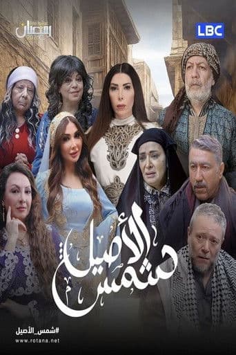 Poster for Shams Al Aseel