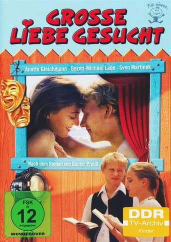 Poster for Große Liebe gesucht