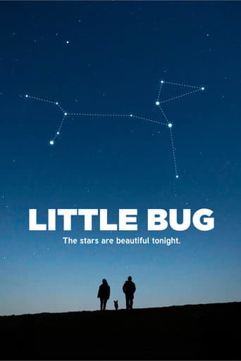 Poster for Little Bug